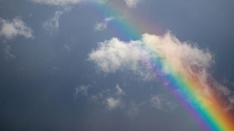 Ein Regenbogen symbolisiert die Vielfältigkeit, die das Thema Geschlechterfragen beinhaltet.